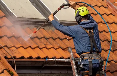Démoussage et hydrofuge de toiture à Prémeyzel